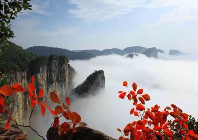 上行索道和觀光電梯如果體力可以,不乘_恩施野三峽綜合旅游區(qū)"的