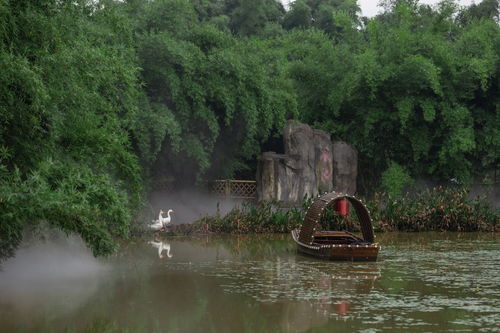 梁平大力發展農旅融合 按下鄉村振興加速鍵