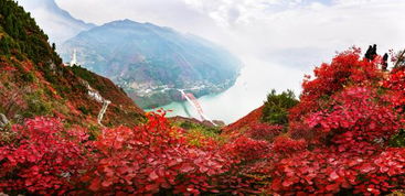 全方位打造全域旅游 接待游客突破千萬人次