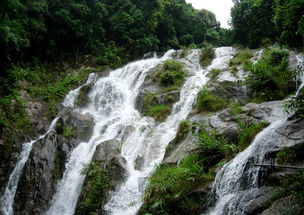 清遠青龍峽漂流 北江小三峽 一天游
