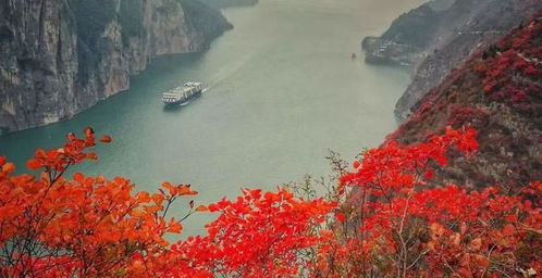 全國64家旅行社 商 齊聚奉節攜手打好 三峽牌