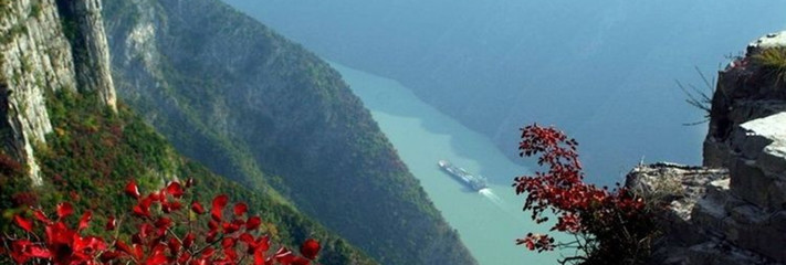 【2021】三峽竹海旅游攻略_三峽竹海自助游攻略_三峽竹海出游行程游記-途牛攻略