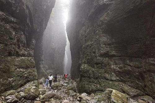 奉節文旅高質量融合發展5年內游客數量旅游收入持續增長,致力打造長江三峽國際黃金旅游帶核心區和世界級旅游目的地