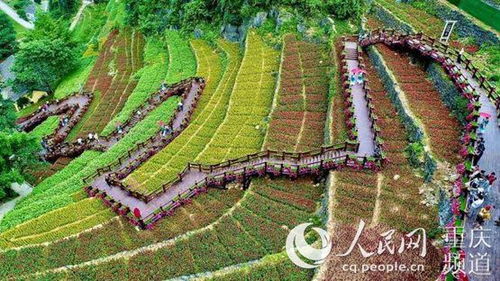 奉節 旱夔門景區7月起對外開放 體驗三峽原鄉