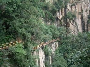 這兩個絕色景區,一個河南第一高峰一個袖珍三峽,都有個 鳥 名