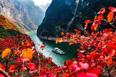 &ldquo;杜子美巫山之約&rdquo;,共赴巫山紅葉節