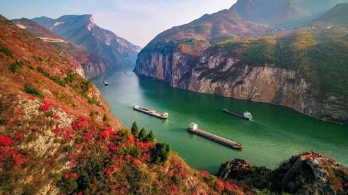 長江三峽游輪,為什么特別適合老人乘坐去旅行,理由有這么六個