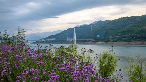 我和新三峽有個(gè)約會(huì), 巔峰雙峽 短途精品游勁爆上線 您中意哪個(gè)