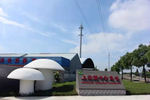 去處 金山的這個 上海之最 將迎來顏值巔峰