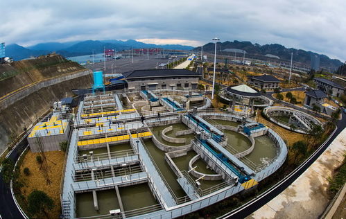 網上的人民日報