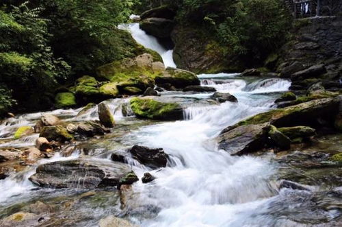 最新發布 湖北最適合自駕親子游的10大品質線路,十一走起