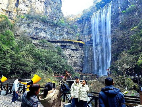 夷陵區2024春節文化旅游市場運行情況