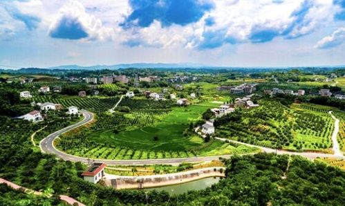 雙曬 忠縣專場10月26日來襲,縣長帶你游美景購特產