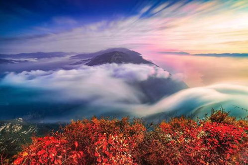 奉節文旅高質量融合發展5年內游客數量旅游收入持續增長,致力打造長江三峽國際黃金旅游帶核心區和世界級旅游目的地