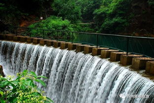 千島湖二日游,游中心湖區,含游船,特價僅需438元 小時