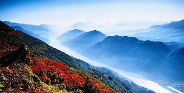 宜昌三峽旅游新區傾力打造國際 旅游航母