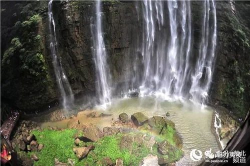 人民網 夏游三峽大瀑布 山水 氧吧 覓清涼
