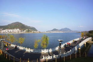 在我們身邊,一個全新的經濟圈正在強勢崛起