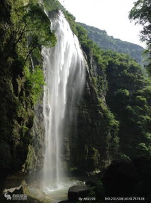 夕陽紅三峽游輪旅游報名電話13313623135