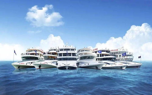 好家伙 宜昌航運企業的牛年大計