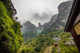 醉美三峽旅行季,賞巫山紅葉,和第一場(chǎng)雪來(lái)一次美麗的邂逅