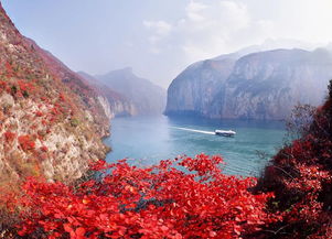 駐馬店火車站上下車,僅需999元乘專列暢游鄂渝湘三省,兩人報名贈送1980元名牌凈水器 速搶