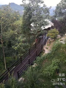 19年暑假川渝湘鄂一路向東17天自由行 下 恩施,鳳凰古鎮,張家界,清江畫廊,三峽 小時