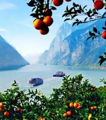 三峽之巔 詩橙奉節(jié) 奉節(jié)消費扶貧館將亮相重慶主城，特色山貨與旅游相得益彰